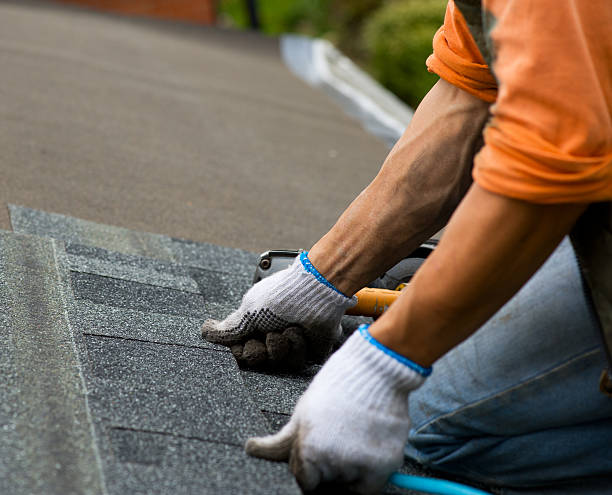 Quick and Trustworthy Emergency Roof Repair Services in Saylorsburg, PA
